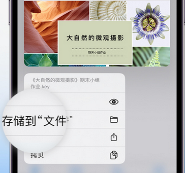 新疆apple维修中心分享iPhone文件应用中存储和找到下载文件