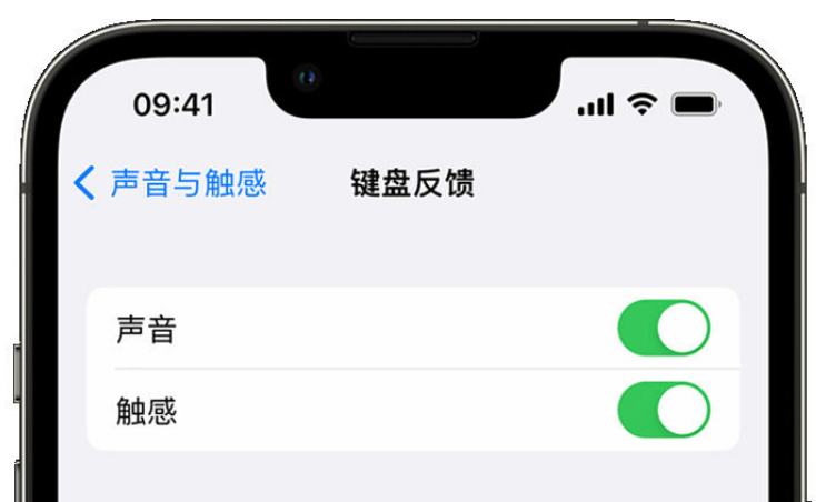 新疆苹果手机维修分享iPhone 14触感键盘使用方法 