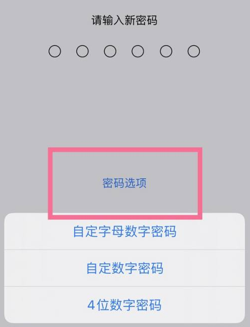 新疆苹果14维修分享iPhone 14plus设置密码的方法 