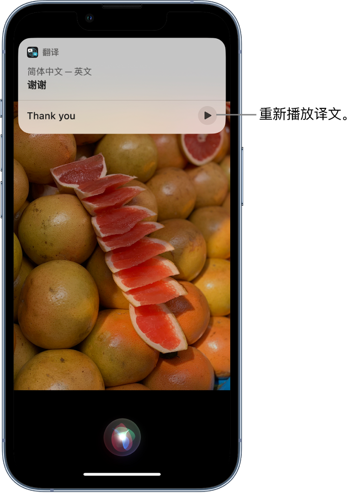 新疆苹果14维修分享 iPhone 14 机型中使用 Siri：了解 Siri 能帮你做什么 