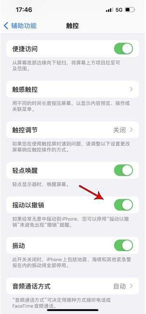 新疆苹果手机维修分享iPhone手机如何设置摇一摇删除文字 