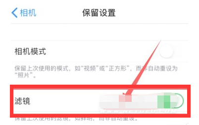 新疆苹果13维修分享iPhone13拍照有绿点是怎么回事 