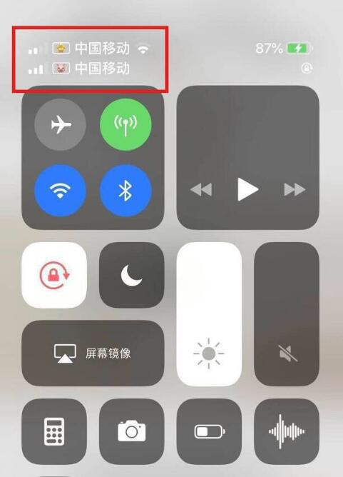 新疆苹果手机维修分享为 iPhone 12 双卡设置标签 